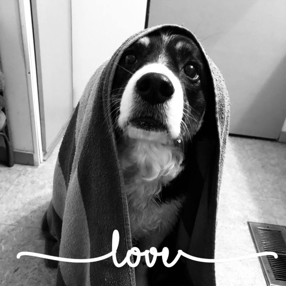 Meet your Posher, Karamiah